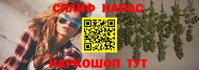 СК Заводоуковск