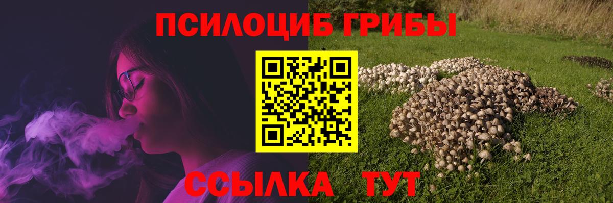 где можно купить наркотик  Вход с VPN  Майкоп  Галлюциногенные грибы ЛСД 